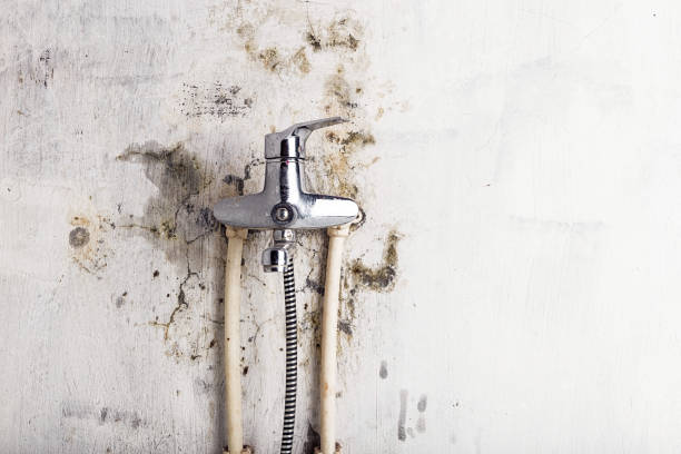 Best Mold Removal Near Me  in Fletcher, OK