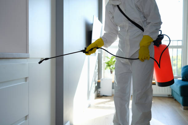 Best Professional Mold Removal  in Fletcher, OK