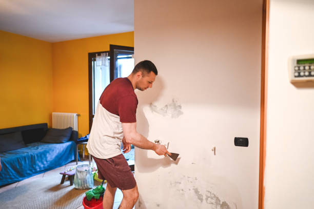 Best Mold Testing and Removal  in Fletcher, OK