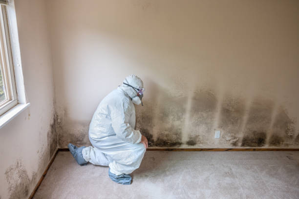 Best Mold Testing  in Fletcher, OK